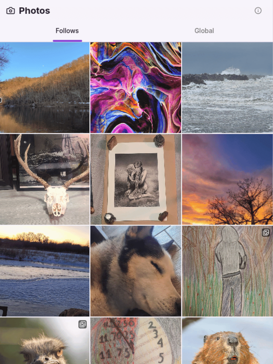 Photos in Ditto